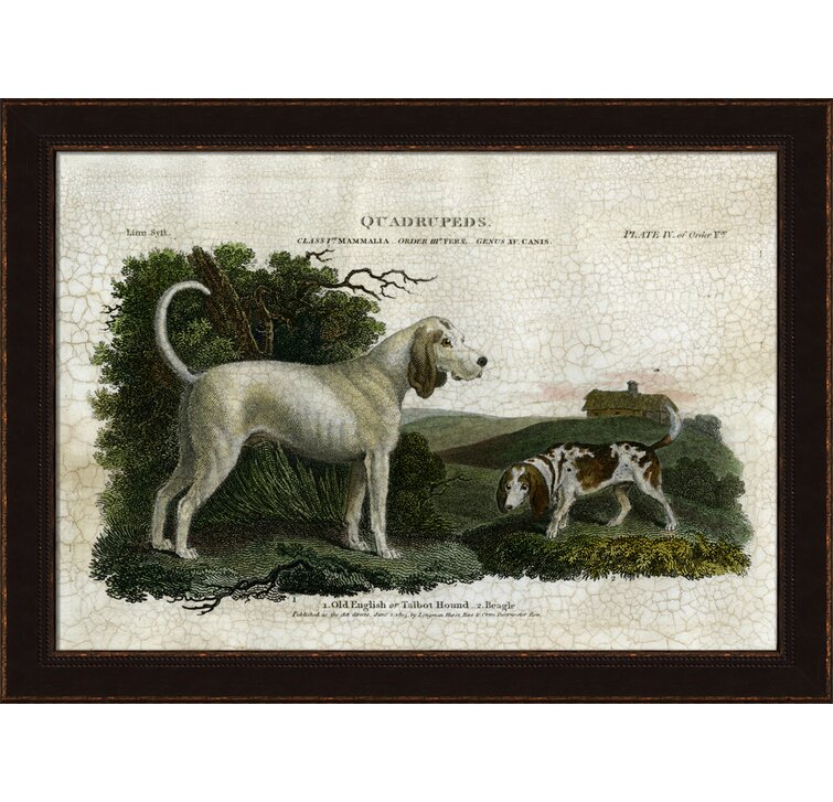 Talbot hound hot sale